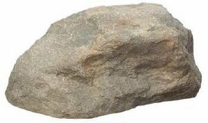 Not All Fairy Tales Have Happy Endings Rock Quest.jpg